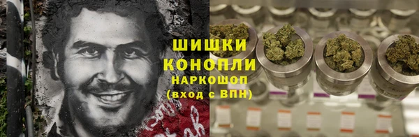 дмт Дмитров