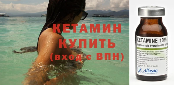 прущие грибы Дмитриев