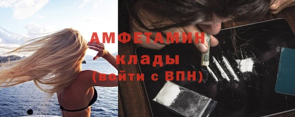 прущие грибы Дмитриев