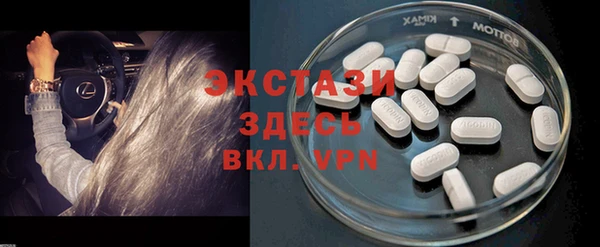 прущие грибы Дмитриев