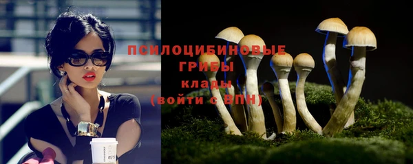 прущие грибы Дмитриев