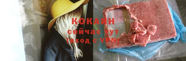 прущие грибы Дмитриев