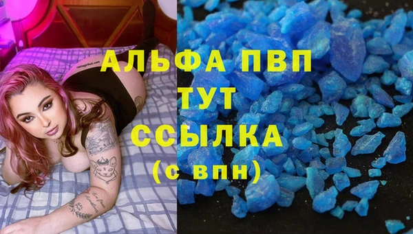 прущие грибы Дмитриев