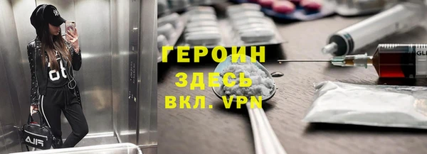 прущие грибы Дмитриев