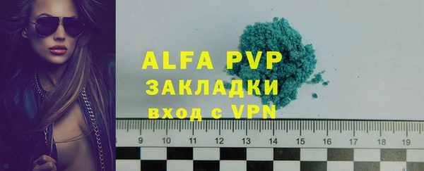 прущие грибы Дмитриев