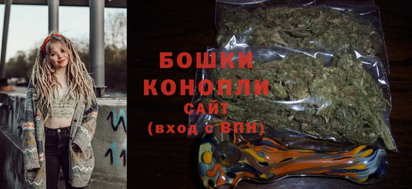 дмт Дмитров