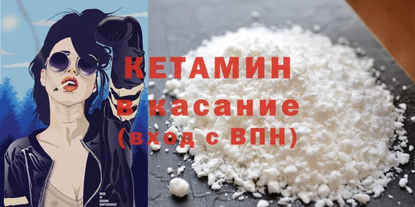 прущие грибы Дмитриев