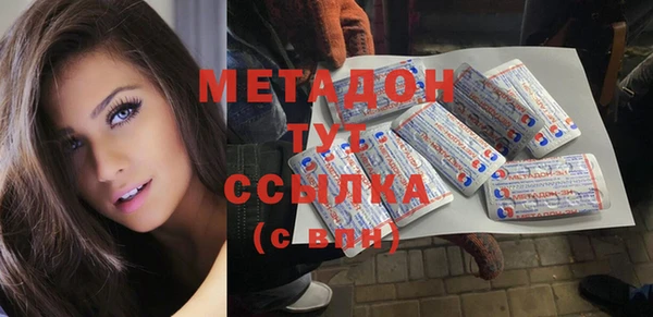 прущие грибы Дмитриев
