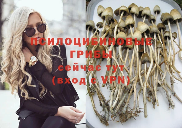 дмт Дмитров