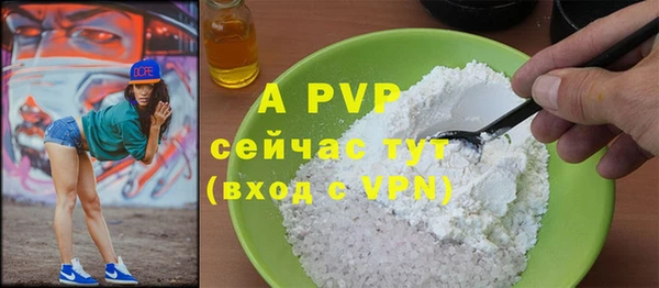 прущие грибы Дмитриев
