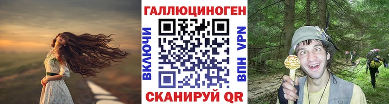 Купить  Чернушка  Псилоцибиновые грибы прущие грибы 