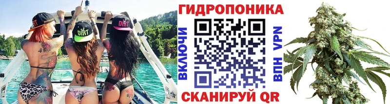 Купить где  Чернушка  Канабис AK-47 